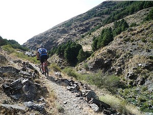 Sendero Sulayr