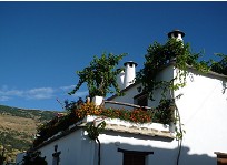 die Schornsteine von Capileira