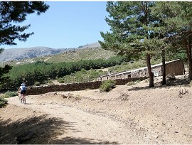 Corral Nuevo