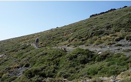 Sendero Sulayr
