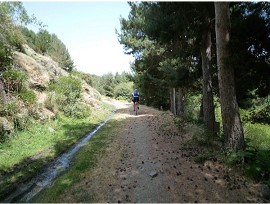 kurze Trailpassage