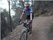 Sendero de Monterey