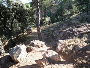 Sendero de Monterey
