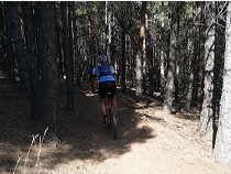 Sendero Sulayr