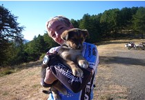 Hundebabys am Rifugio Allavena